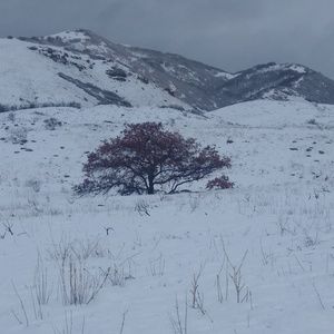 Meet your Posher, Danny